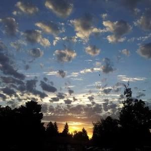 Meet your Posher, Suzanne